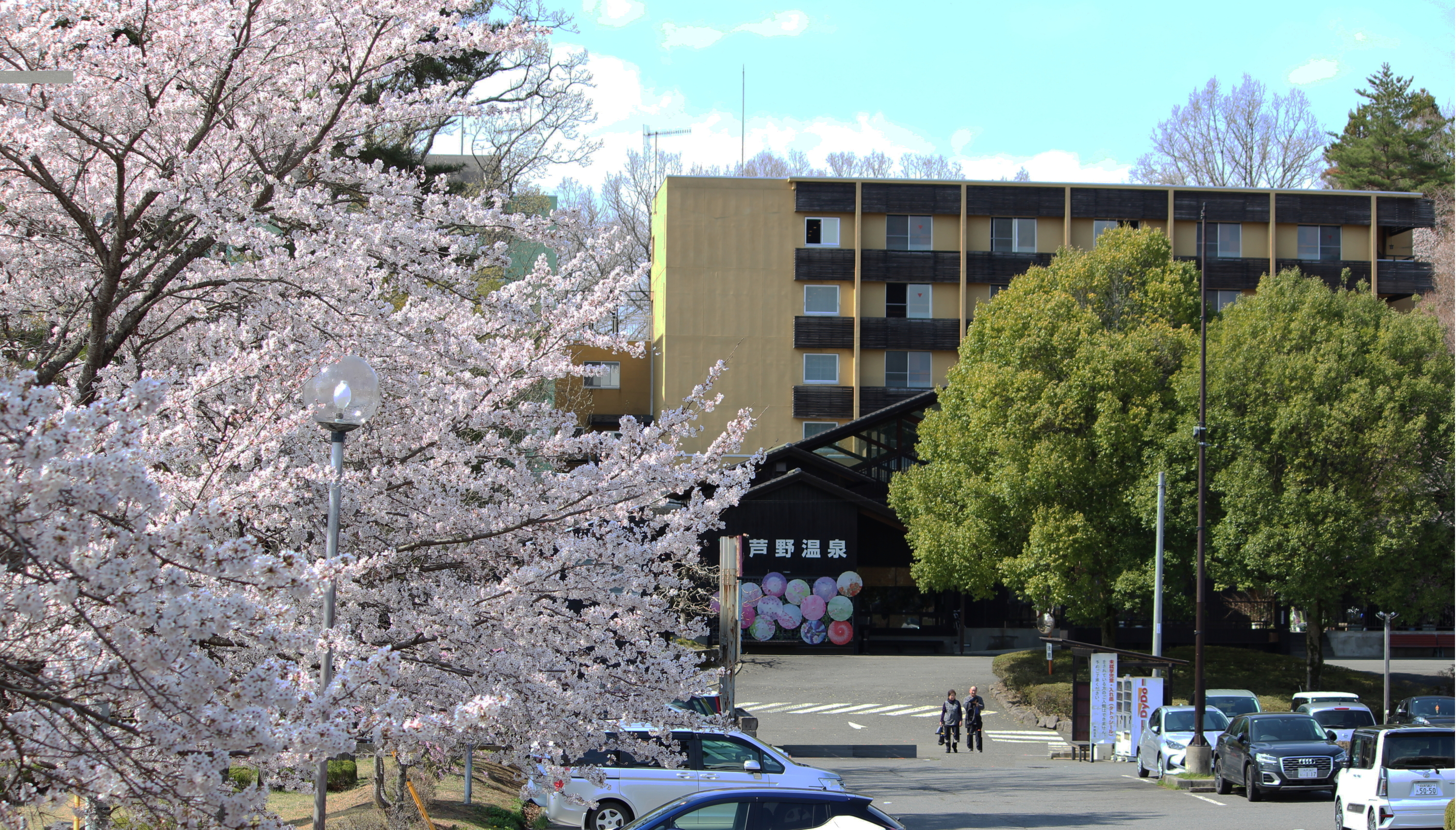 ４月中旬から下旬にかけて芦野温泉は春爛漫になります。