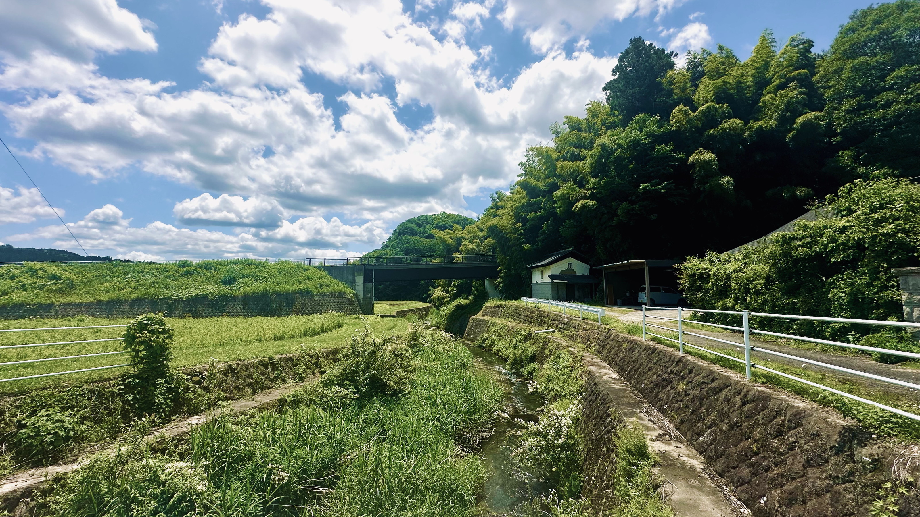 ホテルの近くを散歩するだけでこんなにも美しい大自然に出会えます