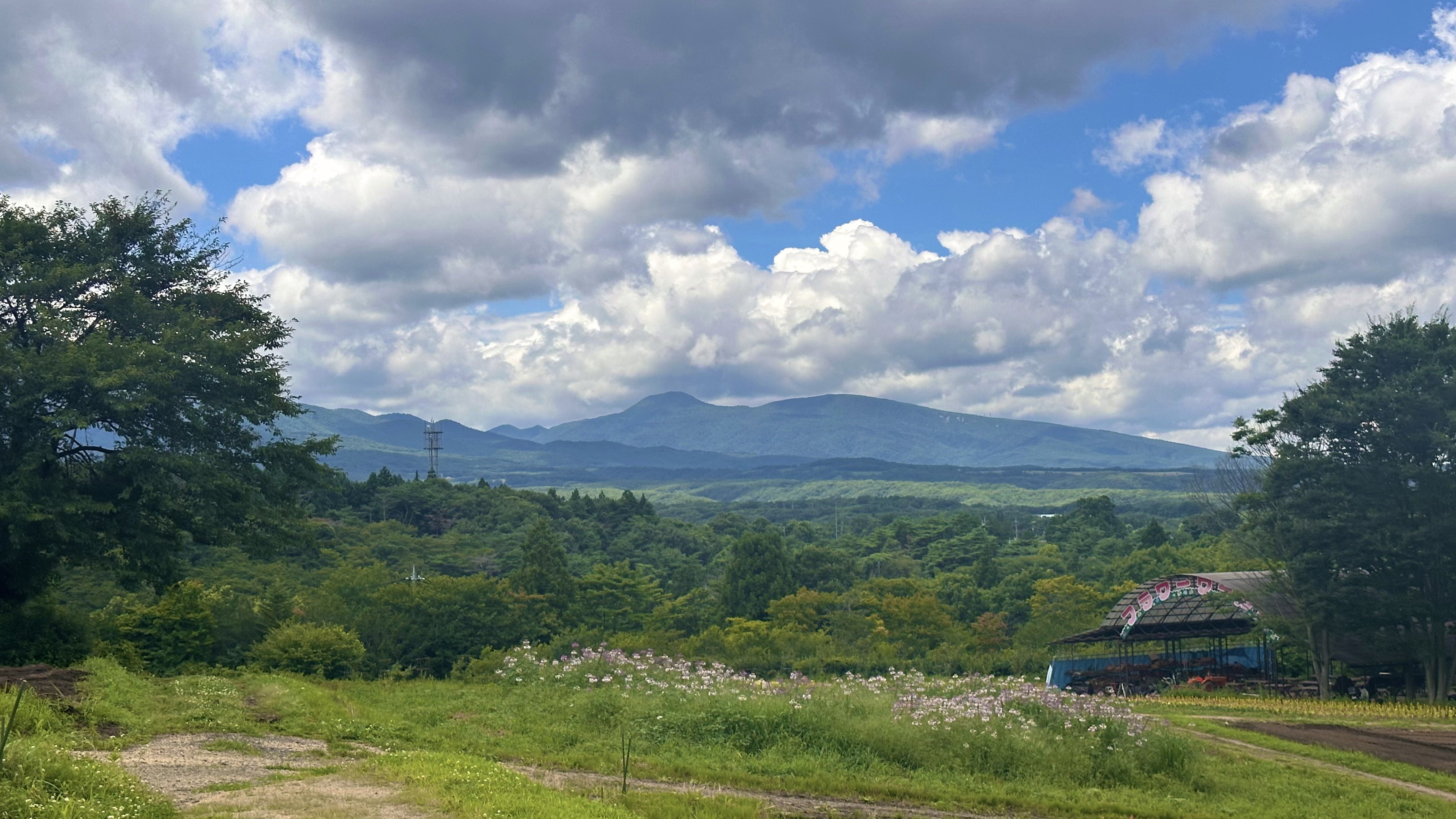 那須フラワーワールド　8月上旬の風景