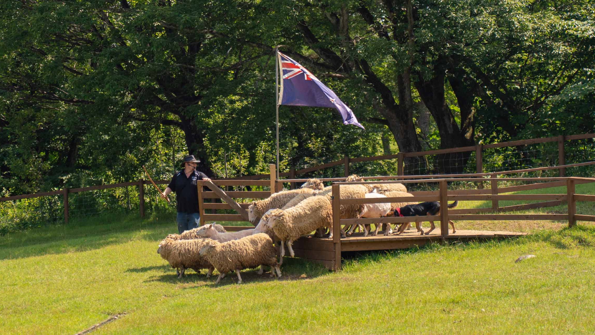【那須どうぶつ王国】芦野温泉から車で約３０分。那須高原で大人気のテーマパークです。
