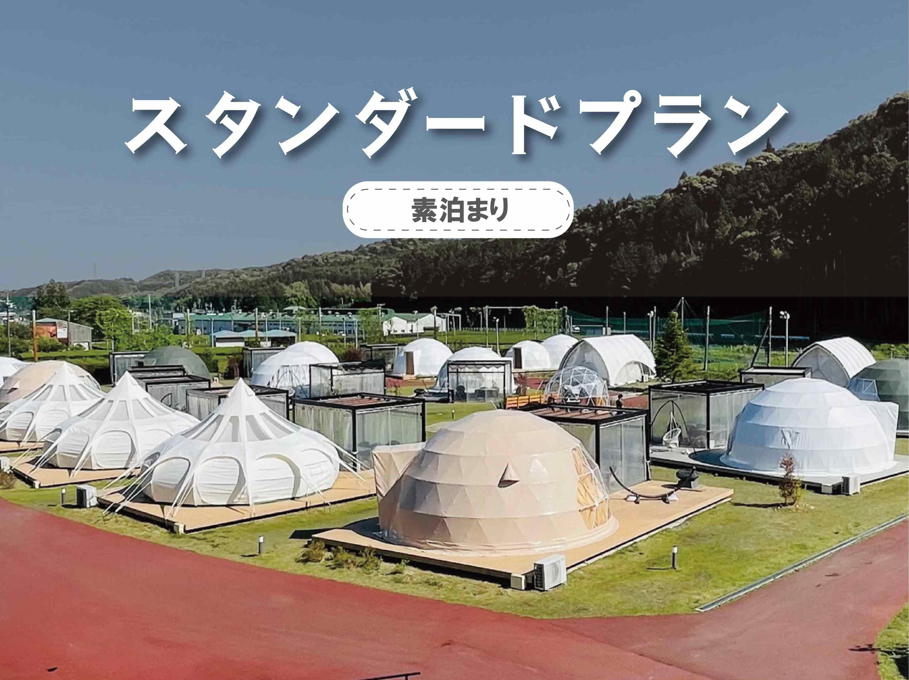 愛犬と泊まれる！【素泊り】スタンダートプラン