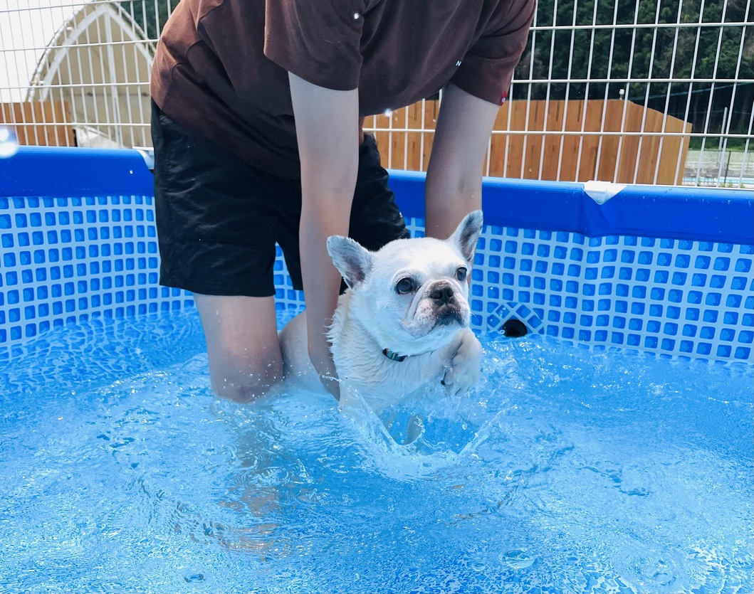 【素泊り】愛犬とグランピング！ワンちゃん5頭まで無料！大型犬OK！お酒・ジュースの飲み放題付！