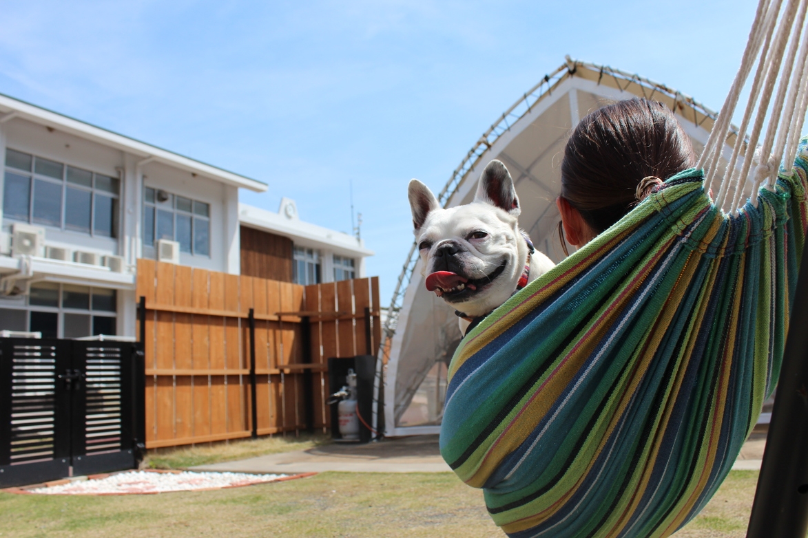 【1泊2食】フレンチブルドッグ限定！看板犬就任記念プラン