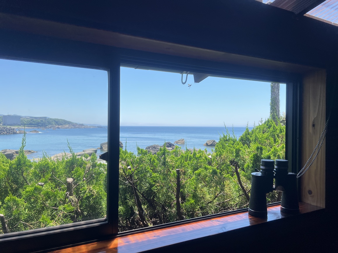 【☆好評の素泊り☆】〜　１日１組様限定の贅沢素泊りプラン＆ワンちゃんOK（犬種・頭数制限なし）　〜