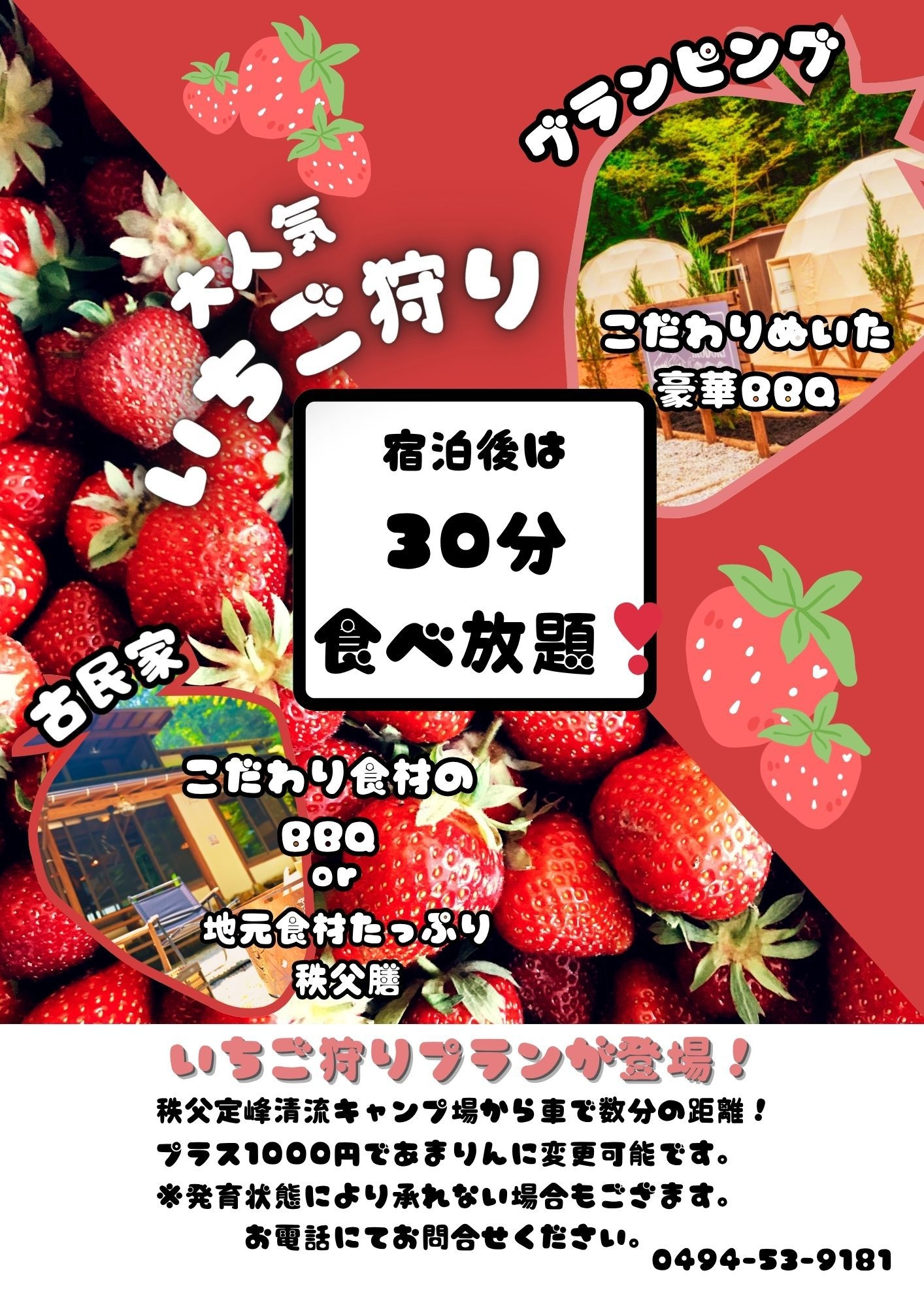 【春限定｜いちご狩り30分食べ放題付き】囲炉裏のある古民家宿×焚き火×星空｜夕食は秩父膳orBBQ