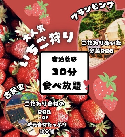 いちご狩り付き宿泊プラン
