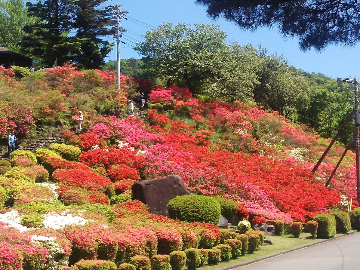 【今だけの緊急セール】＜ペット歓迎＞会員制リゾートを特別価格で！愛犬旅を思い立った方へ