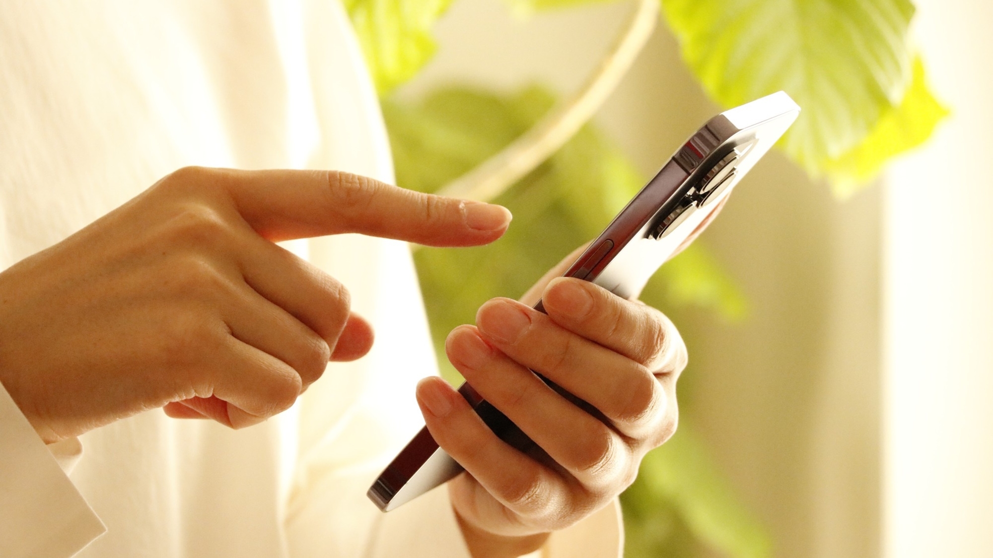 【楽天限定／延長特典】滞在中に口コミ投稿でチェックアウト1時間延長／素泊まり※ペット不可