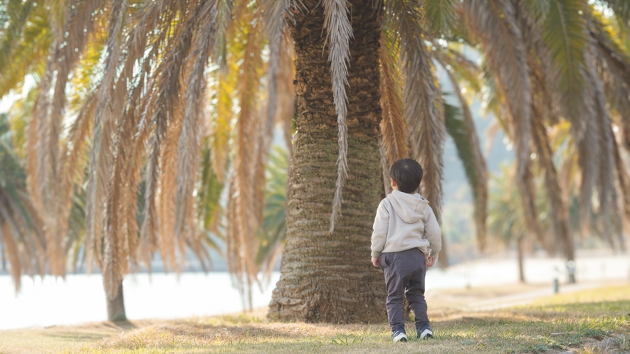 ヤシの木と子供　