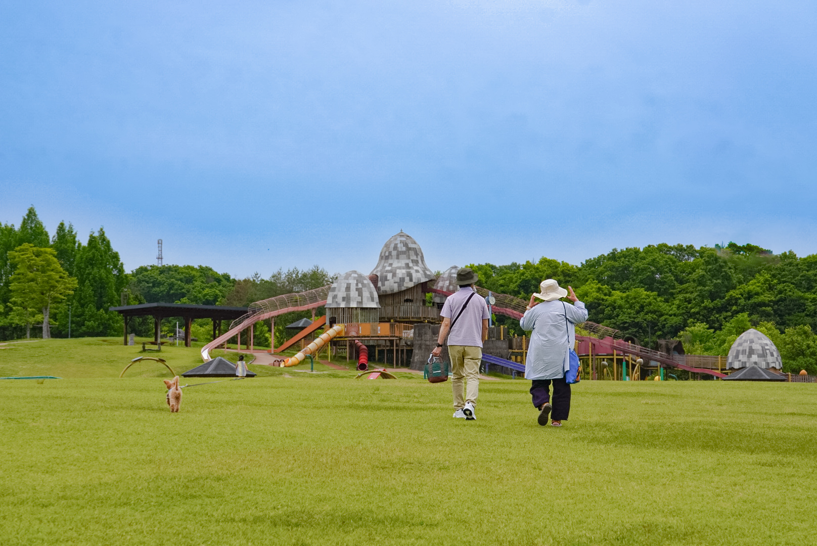 丘陵公園わんこと