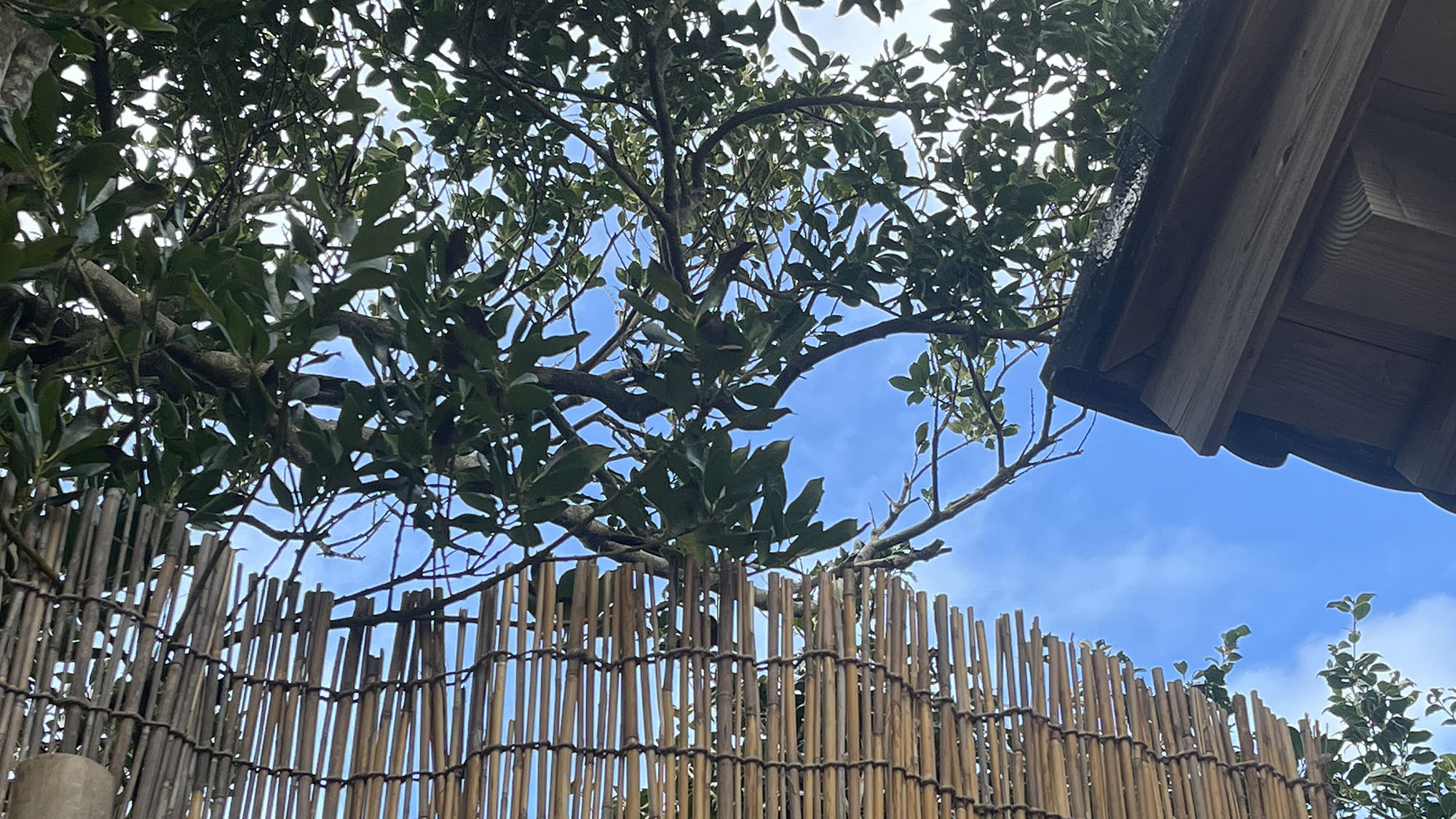 日本海が望める温泉露天風呂(運び湯)です。