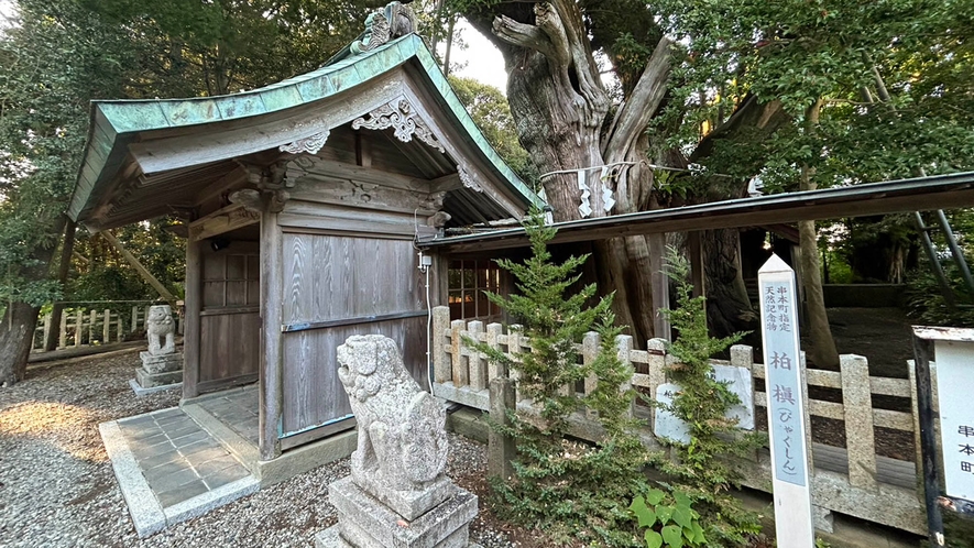・【潮崎本之宮神社】串本町指定　天然記念物の柏槇の木は迫力があります
