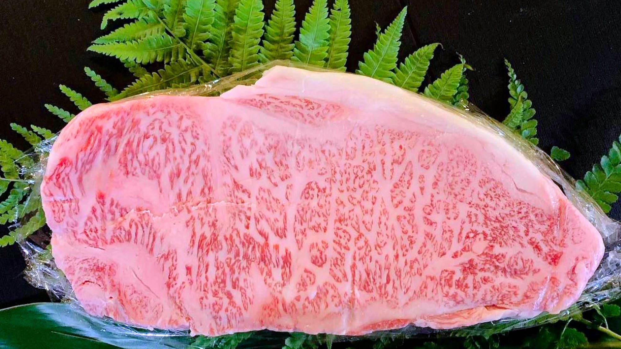 【BBQプレミアム】島ならではの食材や海鮮も！せっかくなら贅沢なBBQで素敵な時間を【夕食付】
