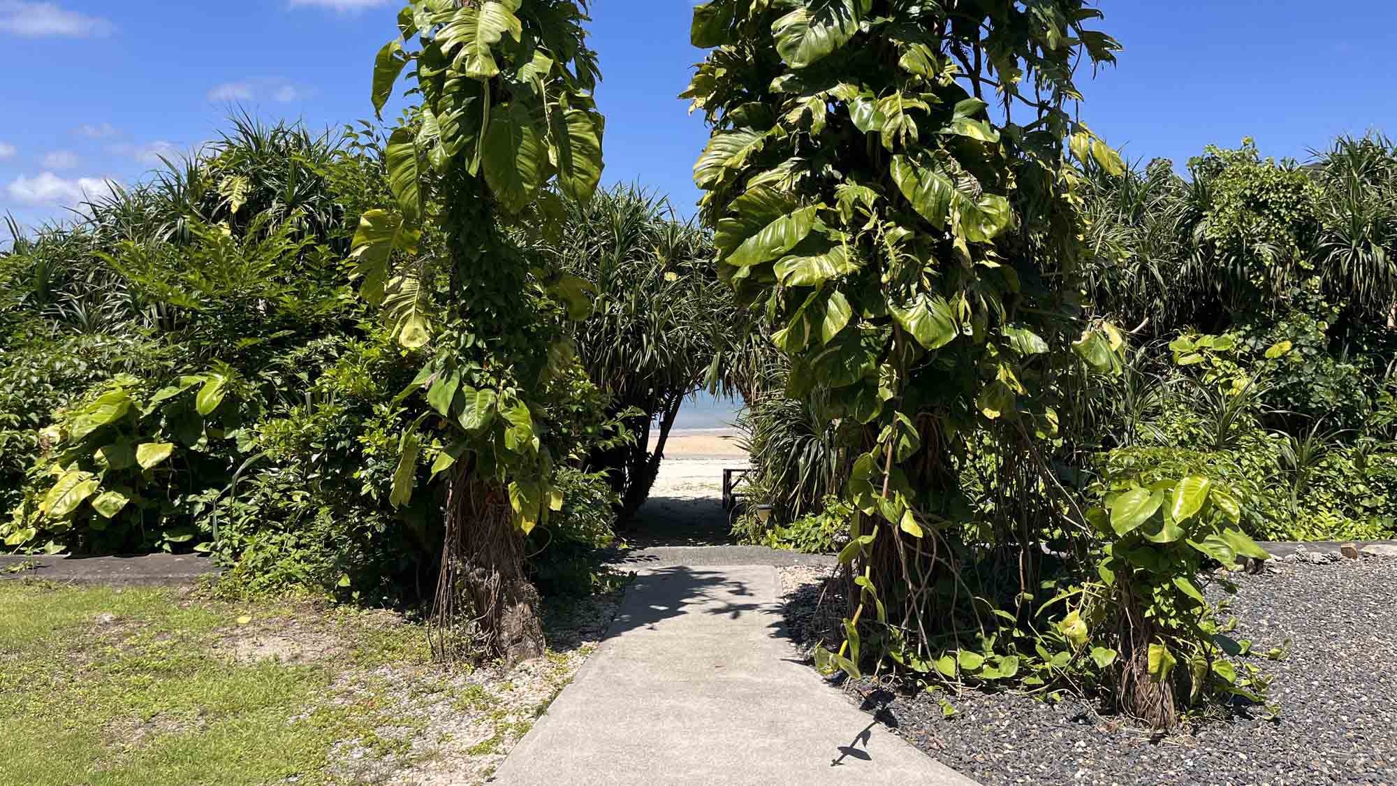 圧倒的充実感！サウナもジャグジーも広々ガーデンも専用BBQも楽しみいっぱい♪海まで10歩【素泊】