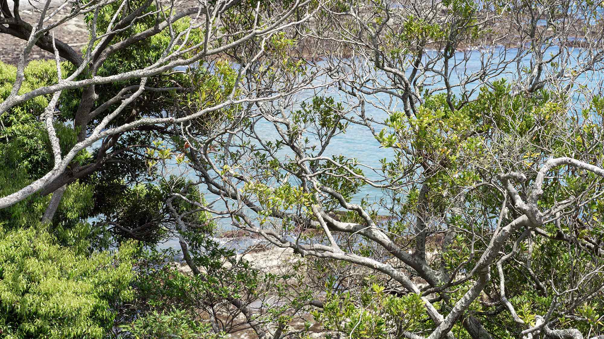 ・【海】緑や海に囲まれて、羽を伸ばしてください