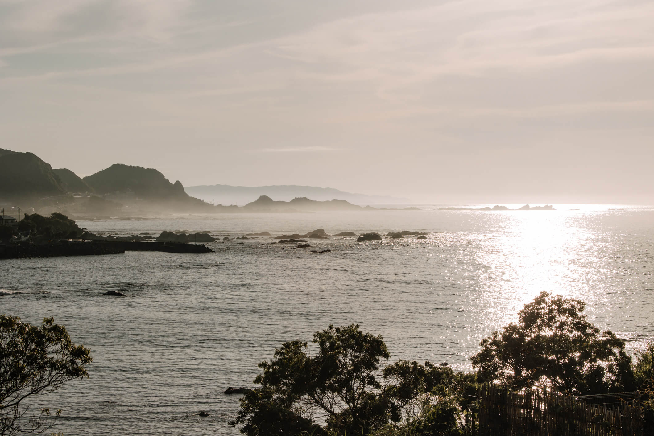 海