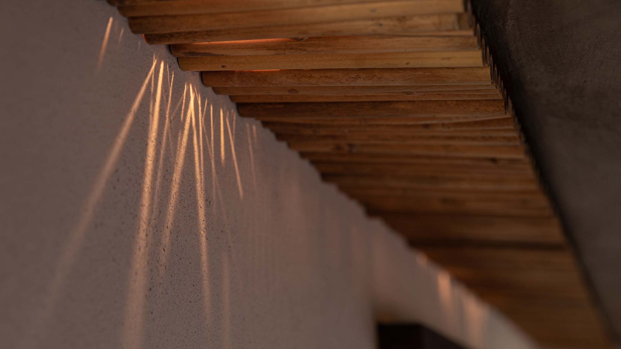 ・【客室】竹を使った天井には、照明を仕込んでいます。細部のこだわりまでお楽しみください