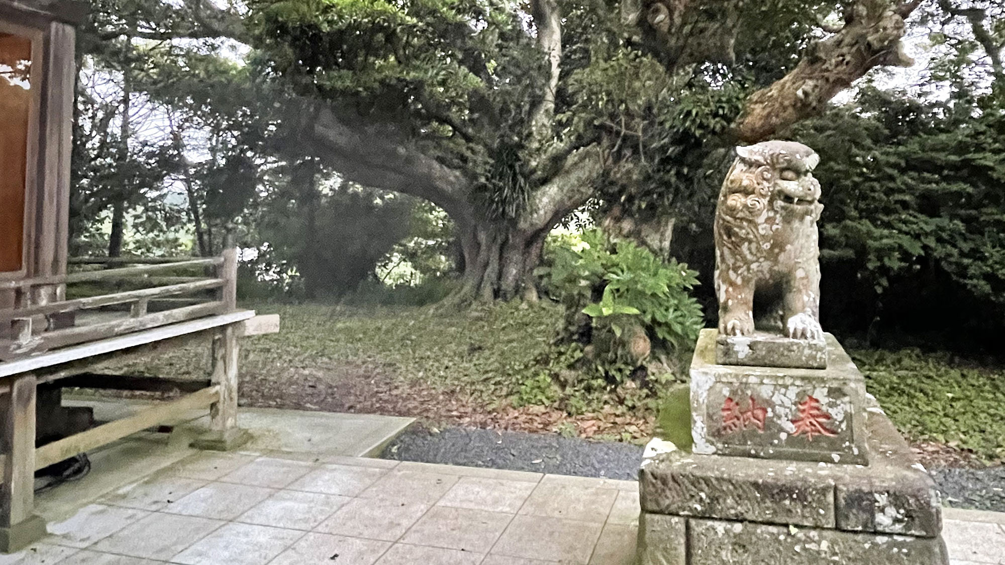 ・【周辺】かつうらビッグひなまつりで有名な遠野岬神社