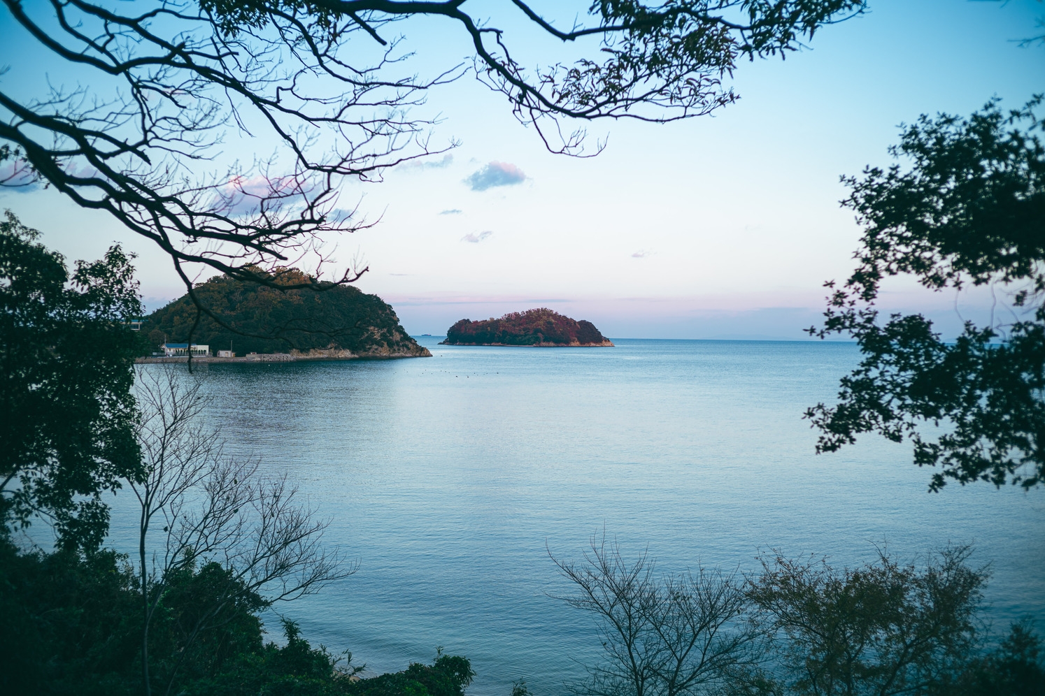 【2泊以上限定】お得に滞在♪瀬戸内ゆったり連泊プラン（水＋タオル付き／素泊まり）