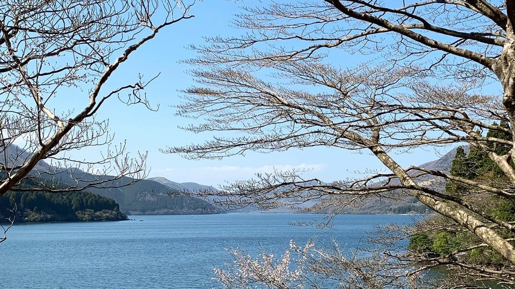 【2食付】芦ノ湖を眺めながらのんびりステイ♪「大自然の恵み」平飼い赤鶏の”美肌 絶品水炊き” プラン