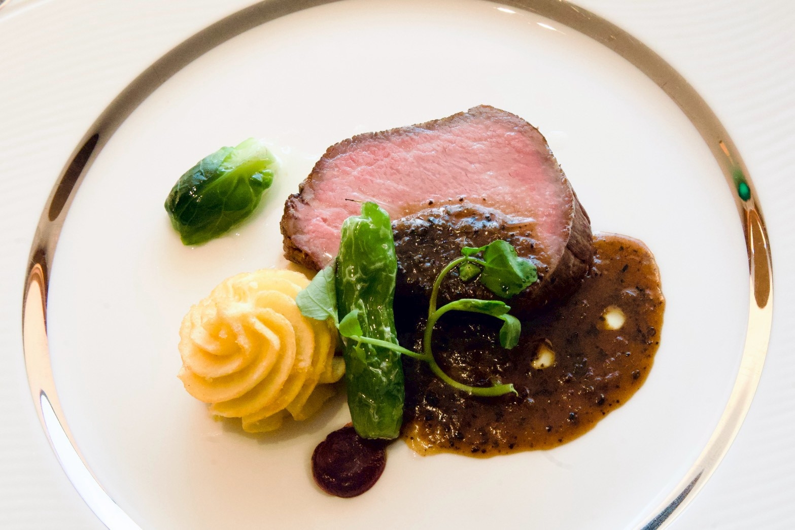 【2026.1.6〜5.31】近江牛フルコースディナーを堪能！愛犬と過ごす至福のリゾートプラン☆