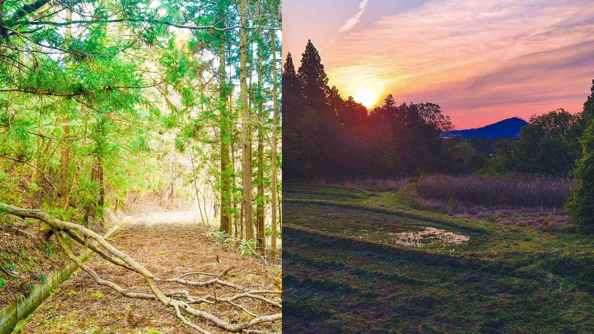 【焚火レンタル】手ぶらでできる焚火で贅沢なひと時を。大切な人と自然と一体になりながら楽しむ特別な時間