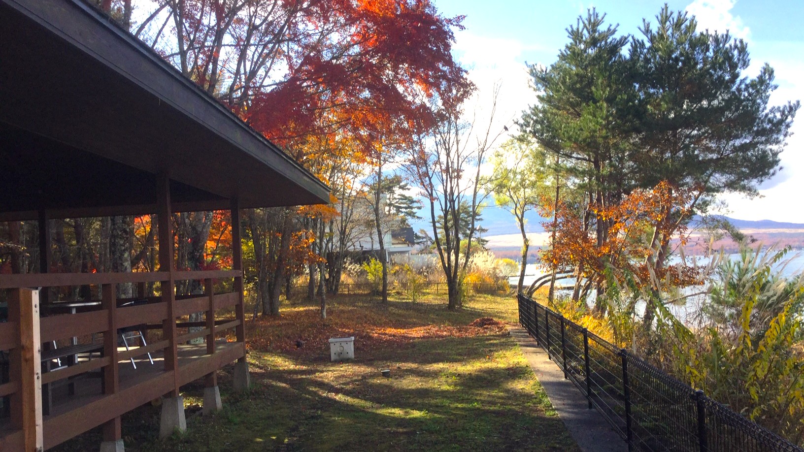 建物外観（11月頃）