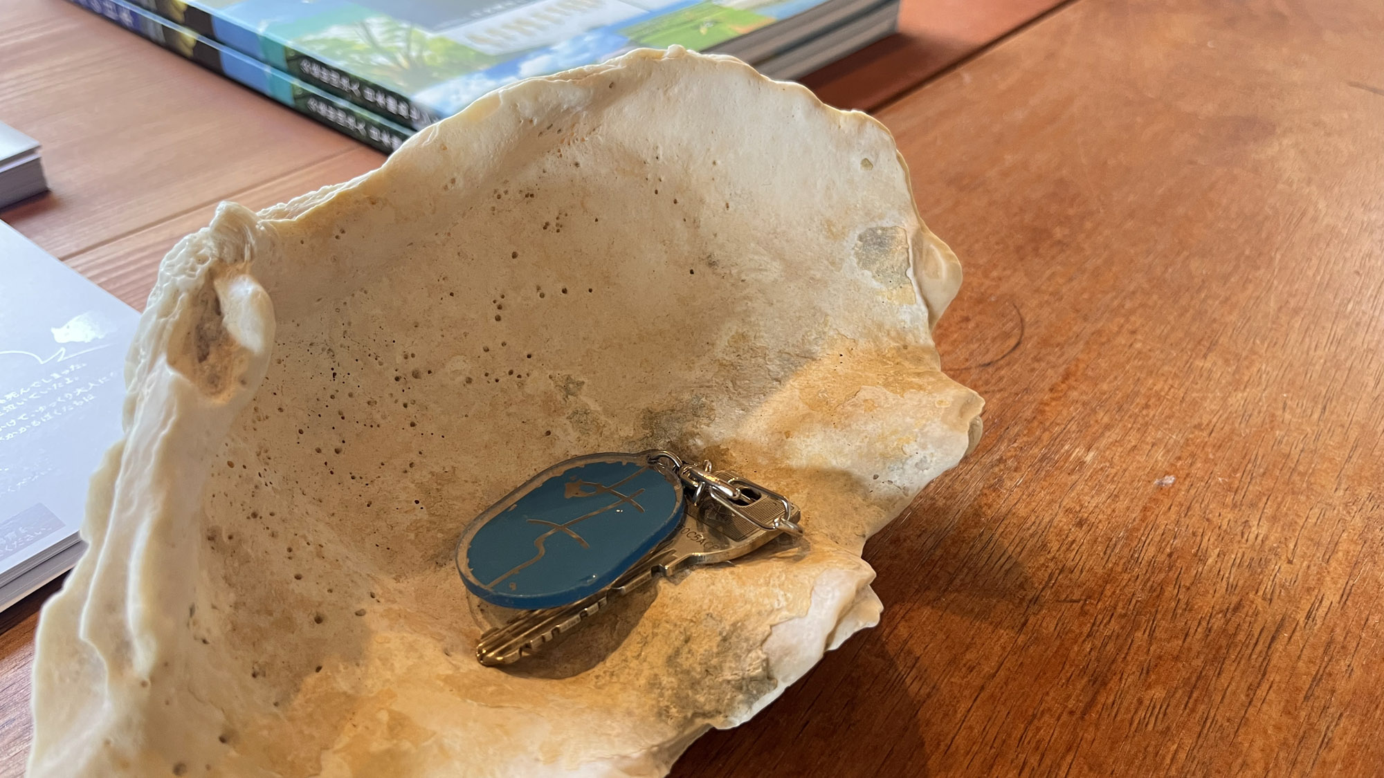 鍵はこちらの貝殻にお返しください