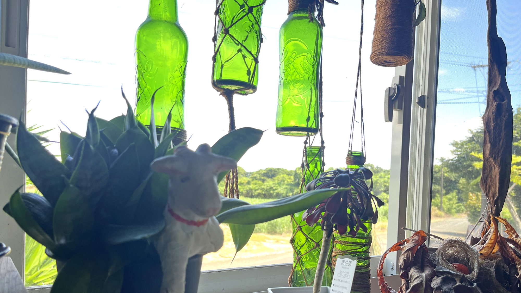 節々に癒しになるようなポイントを作ってます♪