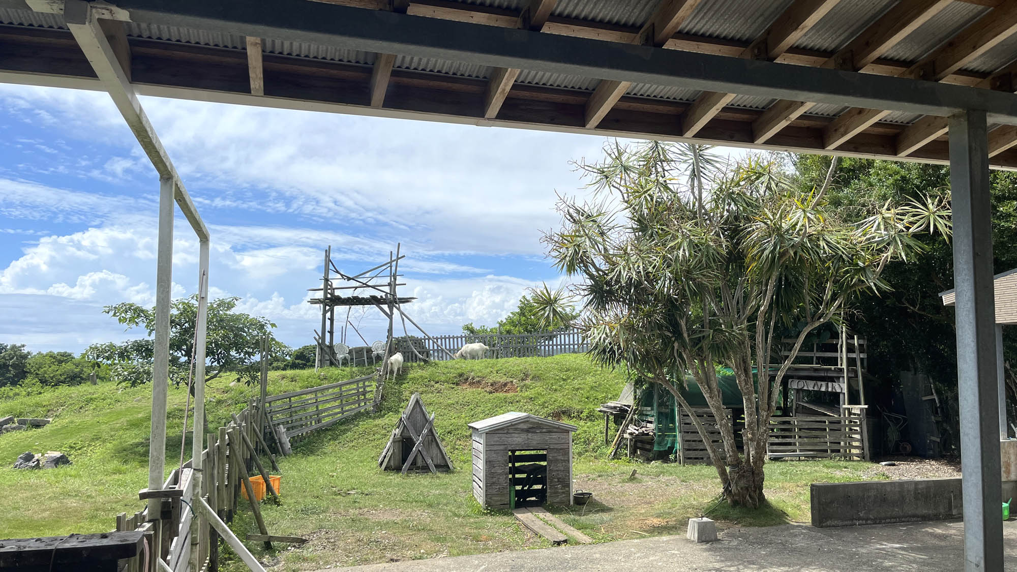 お庭にはヤギやニワトリたちが自由に動き回ってます