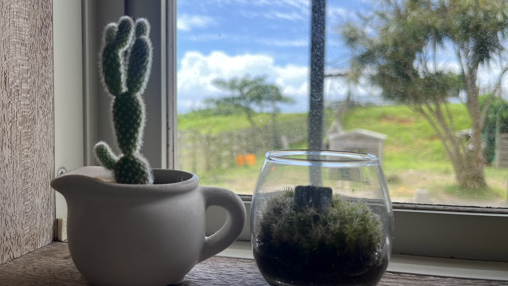 のんびりお過ごしください