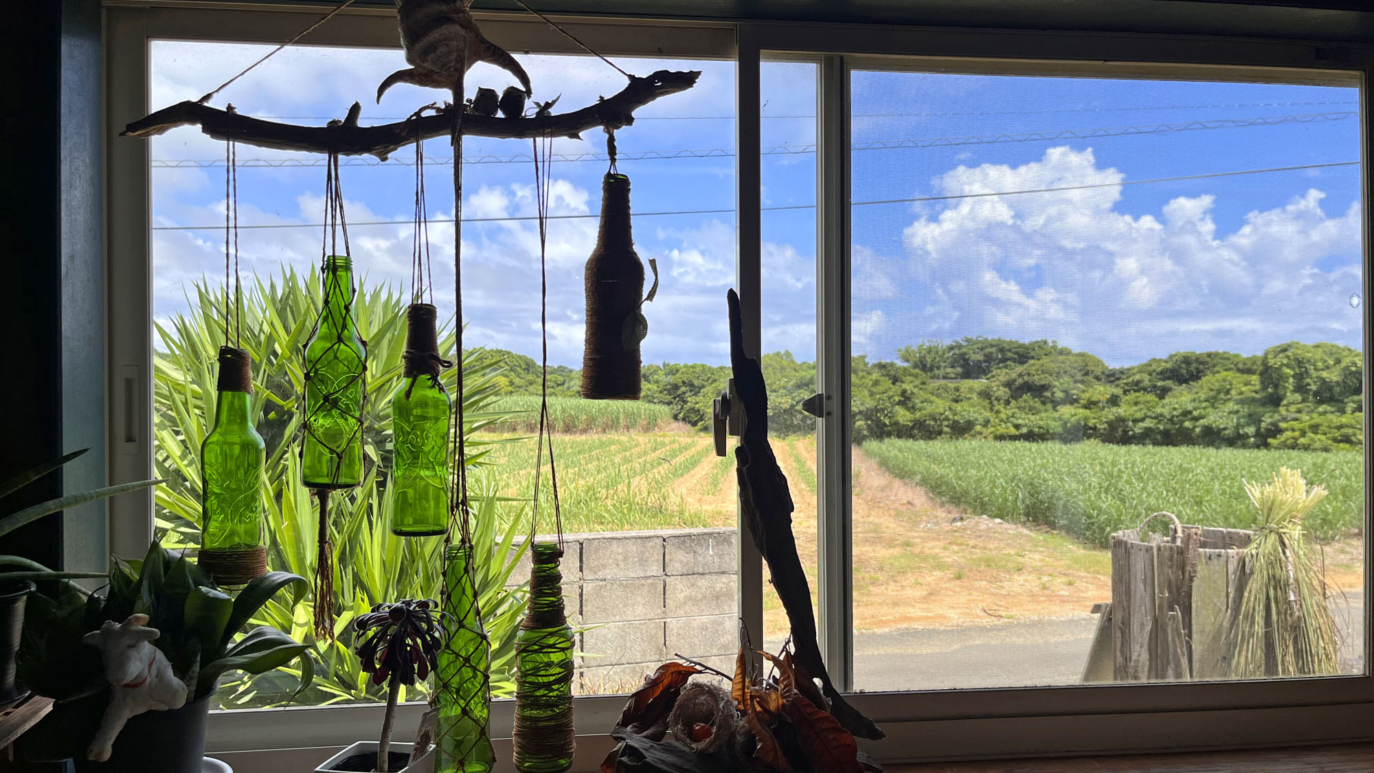 客室からの景観