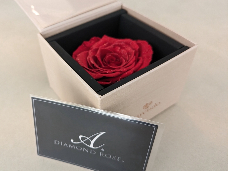 【サプライズプロポーズPlan】伊豆・海辺のプライベートヴィラで愛を誓う◆一生に残る特別な記念日