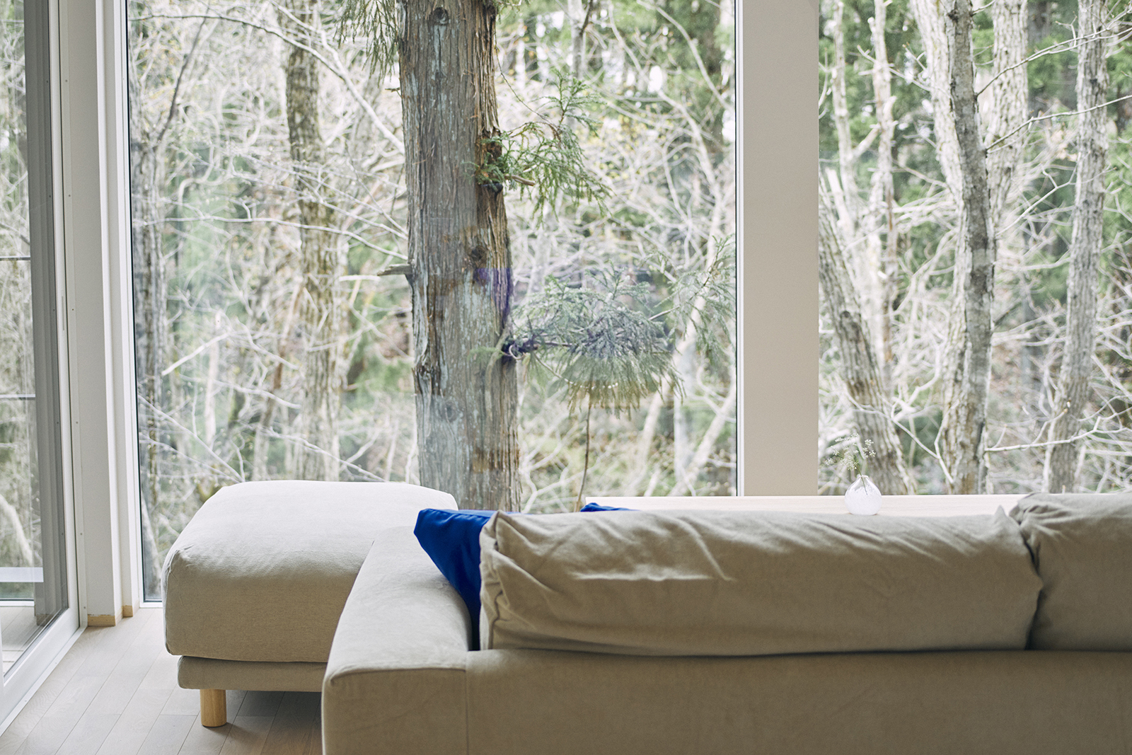 N棟のリビングです。