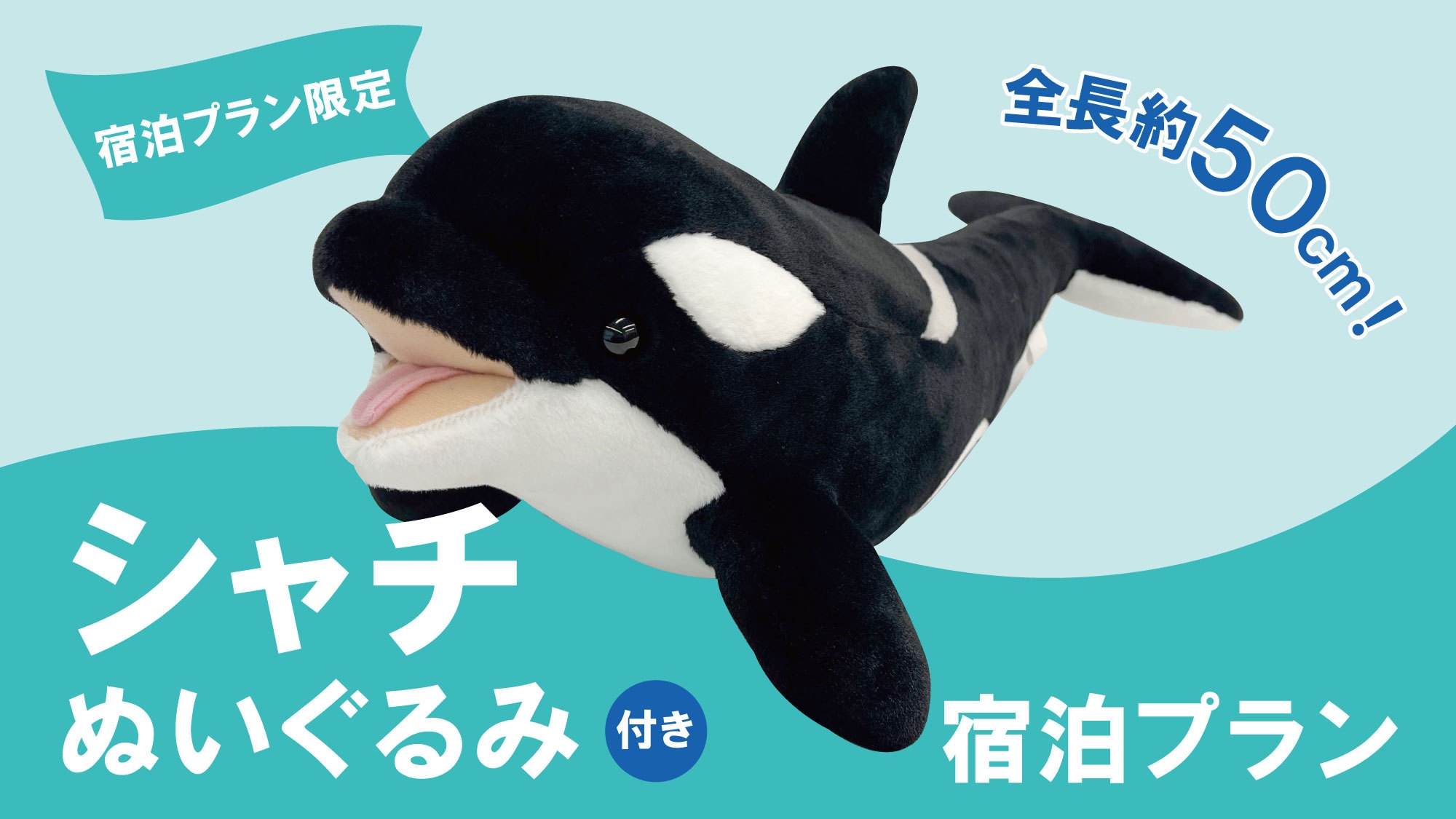 オリジナルシャチぬいぐるみ付きプラン♪＜2食付＞