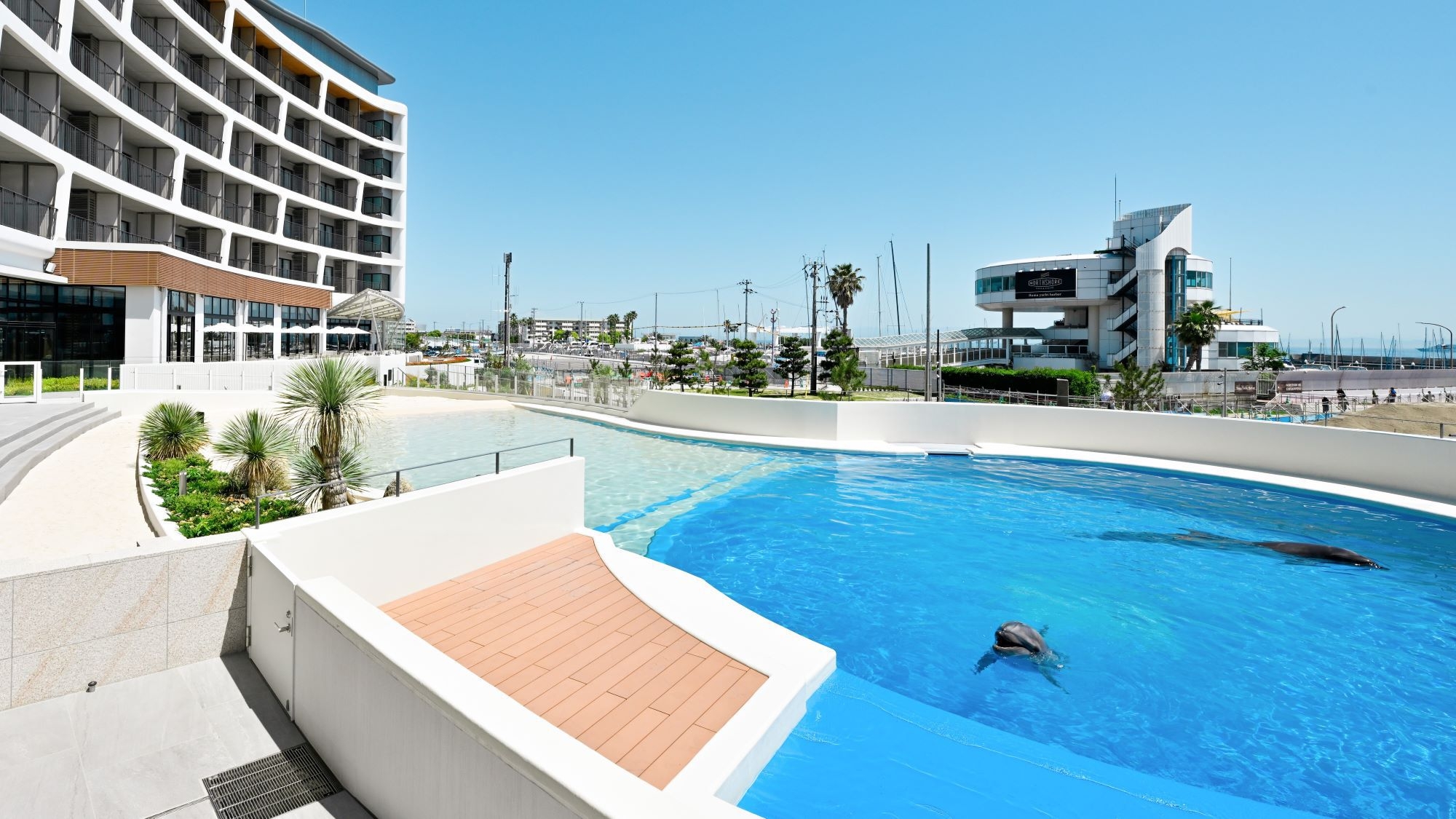 【冬のシーワールド旅】お子様半額★シャチ柄サコッシュ付き家族プラン＜2食＋入館券付＞