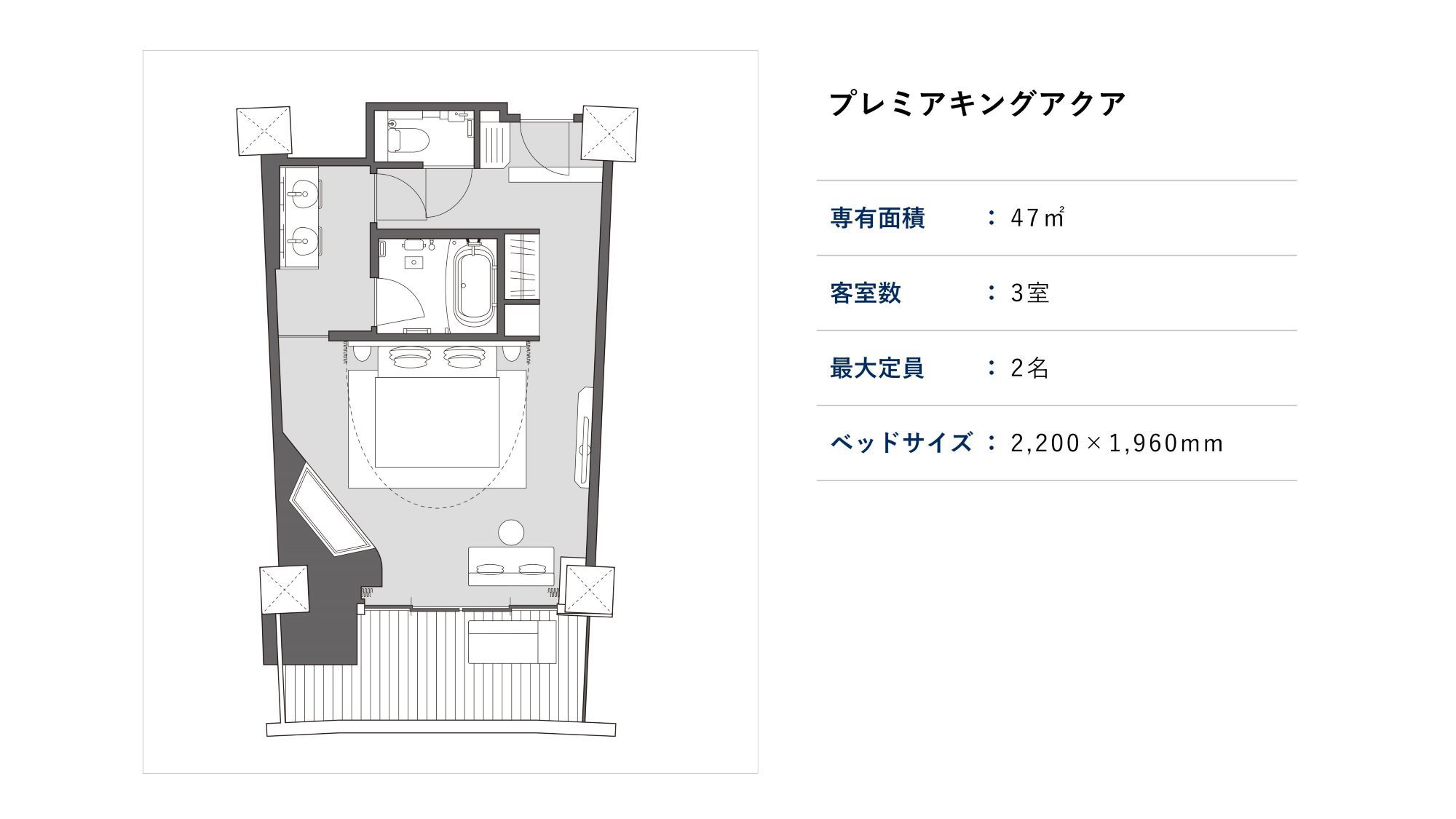 プレミアキングアクア