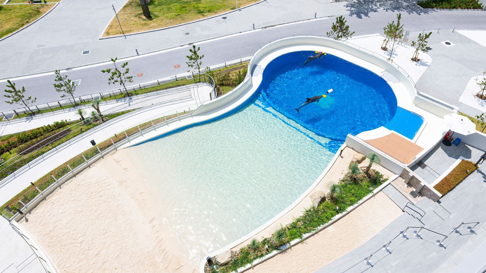 【お日にち限定×1名利用】海と水族館に癒されるひとり旅プラン＜2食付+入館券付＞