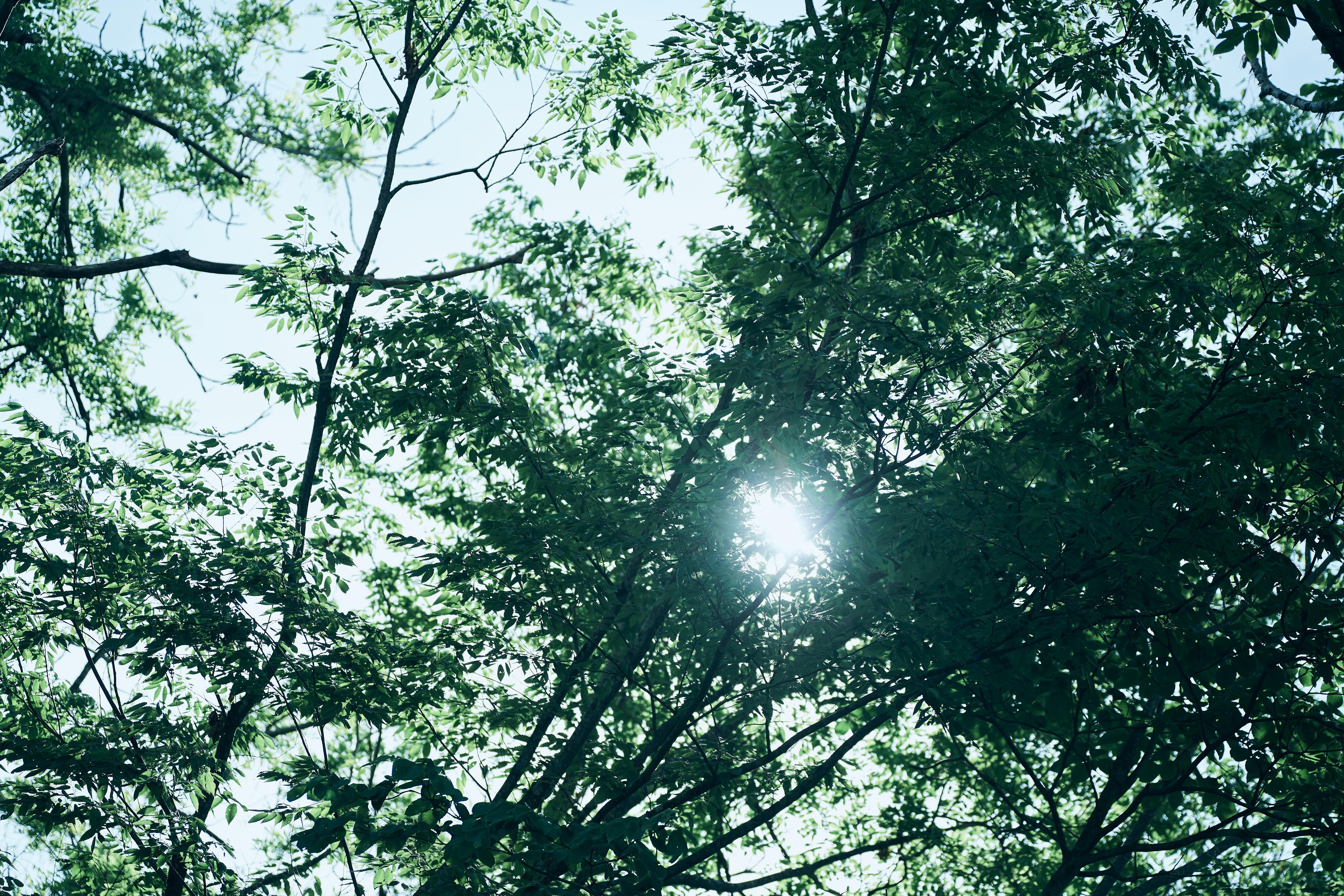 春夏は周囲の木々が生い茂り、生命力を感じます。