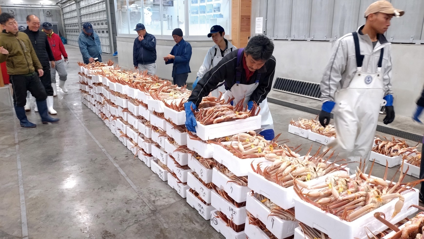 【期間限定】吉野建シェフ監修の越前がにとフレンチ堪能プラン〜夕食のみ〜