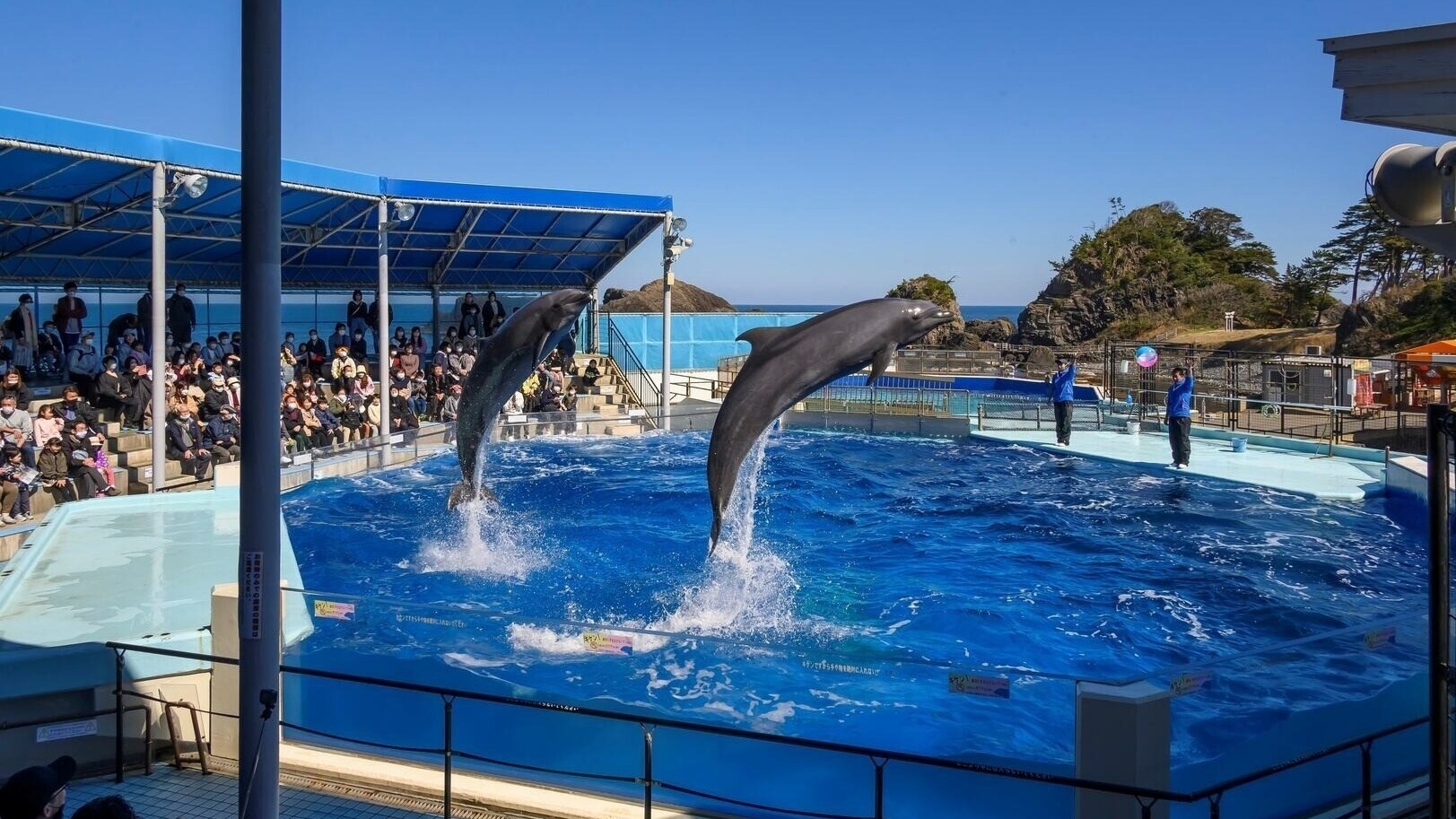 【福井・越前海岸を満喫】越前松島水族館チケット付き宿泊プラン〜2食付〜