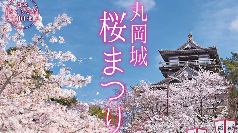 丸岡城桜まつり