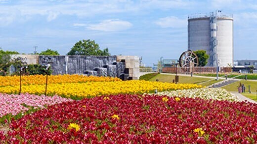 ゆりの里公園15万輪のユリ