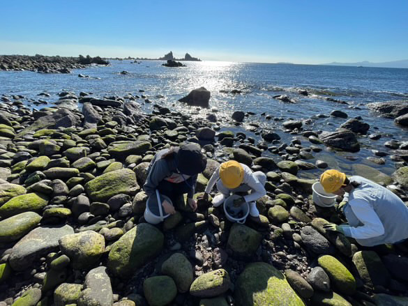 【夏】夏休み自由研究応援！海のフォトフレーム＆博物館探検プラン