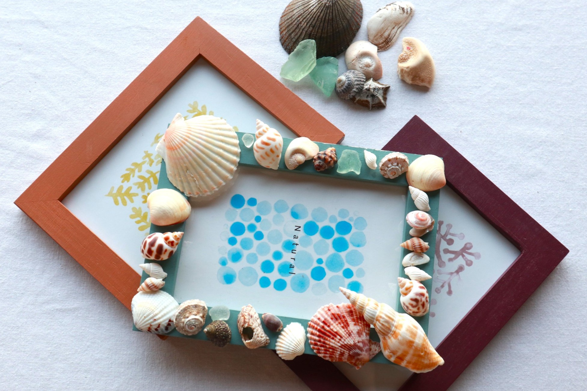 【夏】夏休み自由研究応援！海のフォトフレーム＆博物館探検プラン