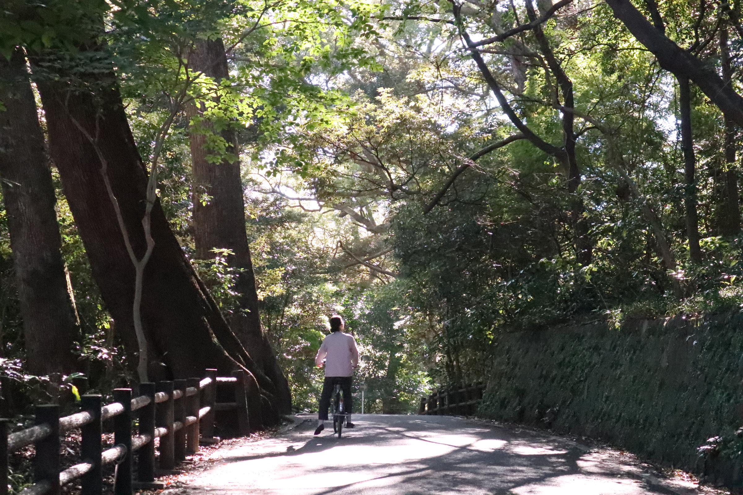 【春】春の風を感じる 真鶴サイクリング旅プラン