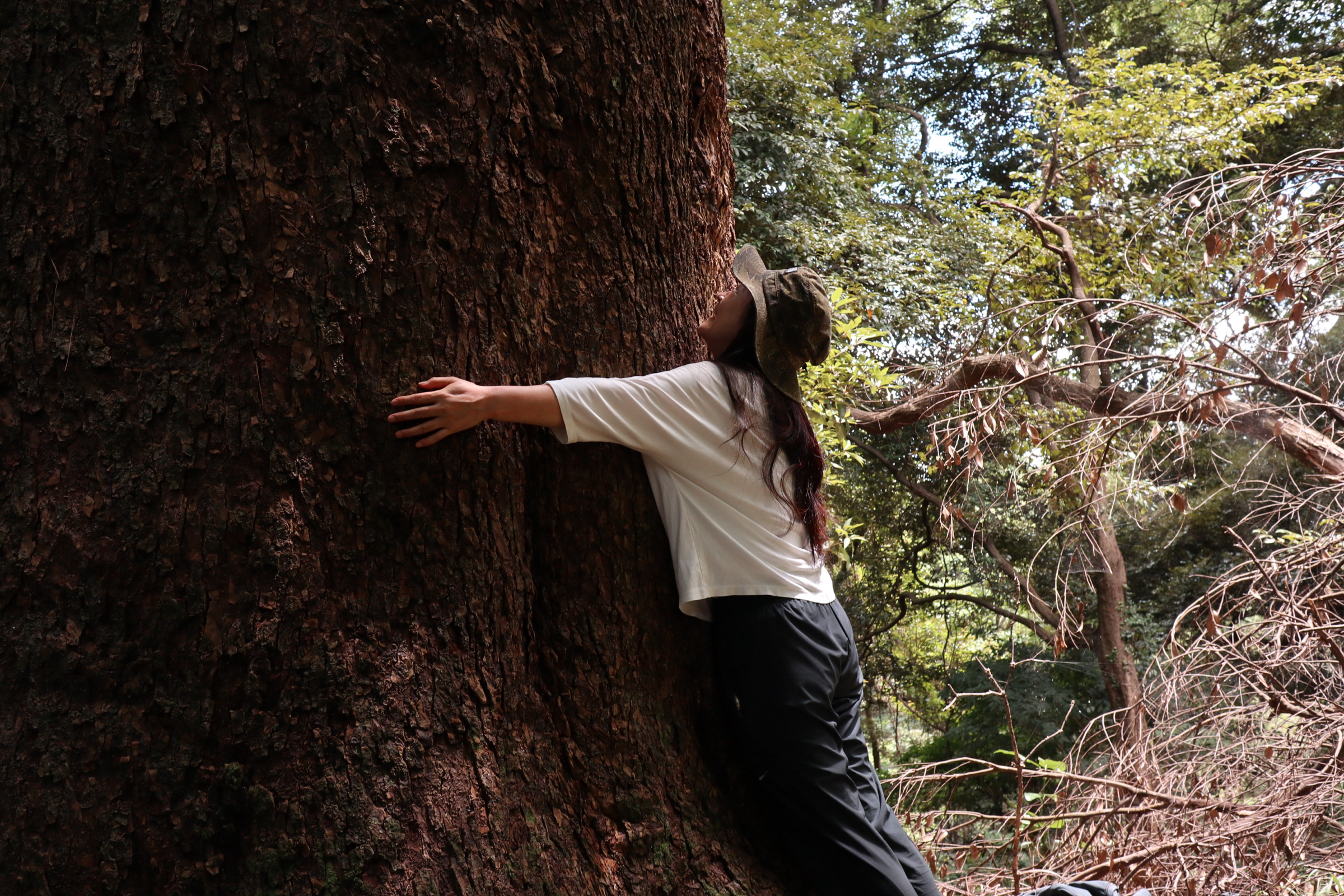 【秋】専門ガイドと行く、御林の森林セラピー～五感を開放する秋の真鶴旅～