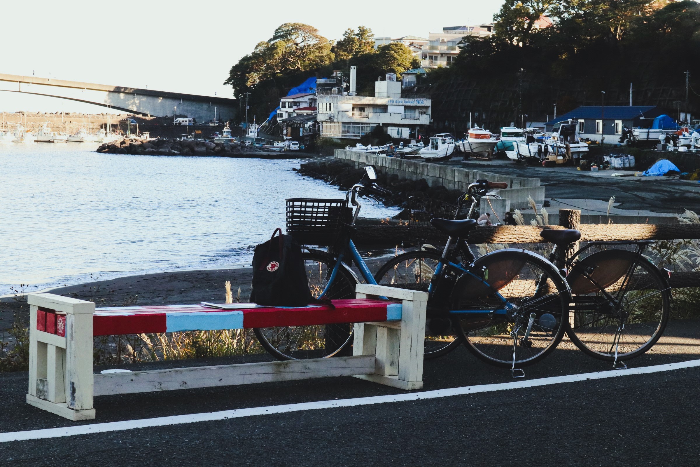 【春】春の風を感じる 真鶴サイクリング旅プラン