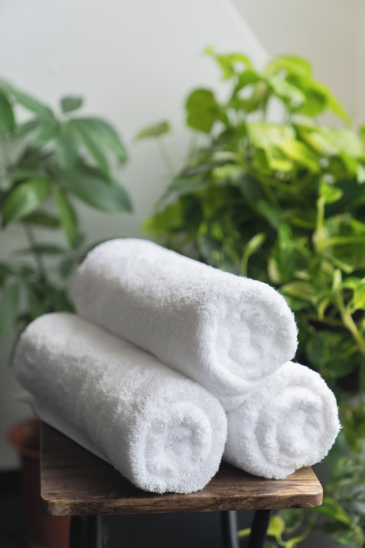 レンタルタオル