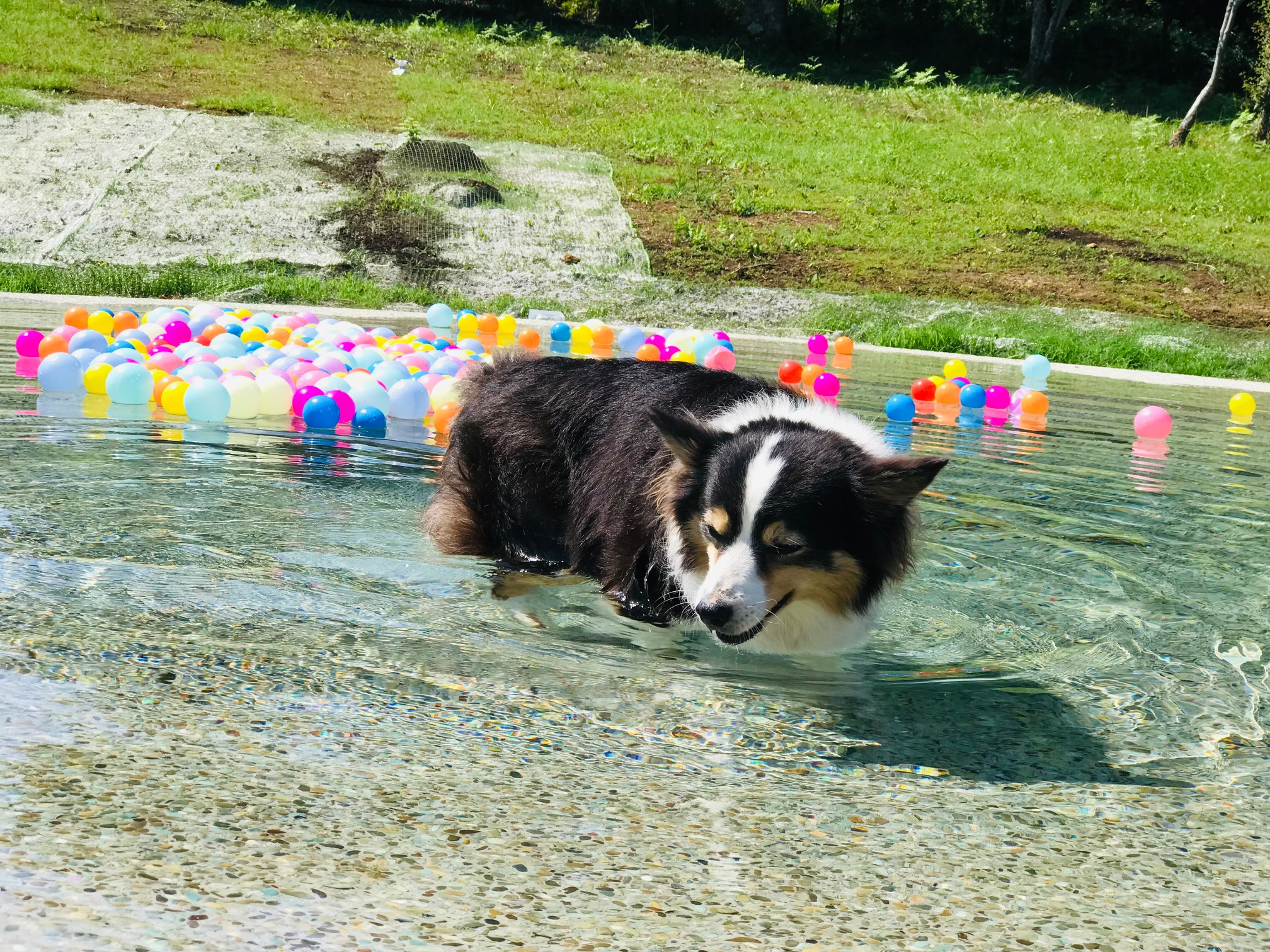 じゃぶじゃぶ池